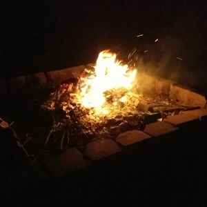 Meet your Posher, Connie